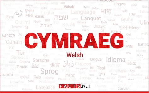 A WEBSITE FOR ALL LOCAL WELSH LANGUAGE .